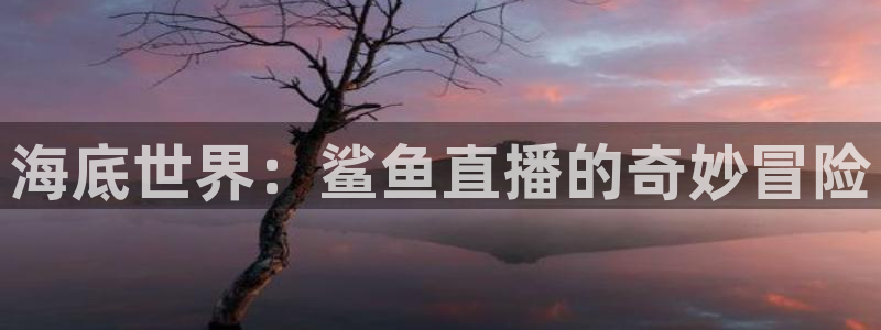 jr看球网直播nba：海底世界：鲨鱼直播的奇妙冒险