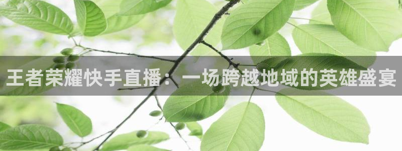 jrkan直播体育app：王者荣耀快手直播：一场跨越地域的英雄盛宴