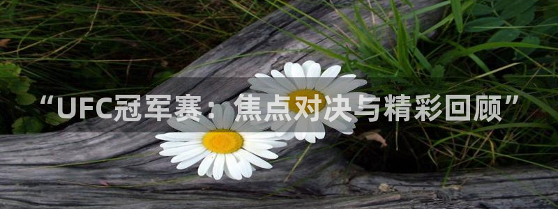 jrkan直播体育网nba：“UFC冠军赛：焦点对决与精彩回顾”