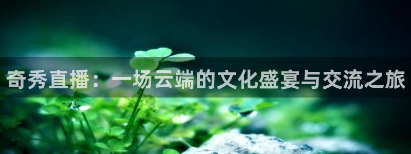 jrkan体育在线直播免费观看：奇秀直播：一场云端的文化盛宴与交流之旅