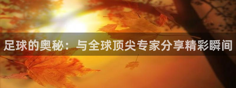 jrkan体育直播网：足球的奥秘：与全球顶尖专家分享精彩瞬间
