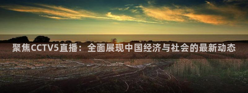 jrkan2022直播体育网：聚焦CCTV5直播：全面展现中国经济与社会的最新动态