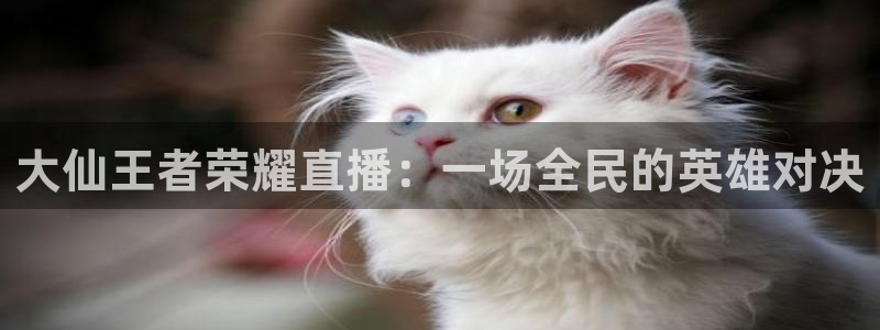 jrkan篮球直播：大仙王者荣耀直播：一场全民的英雄对决